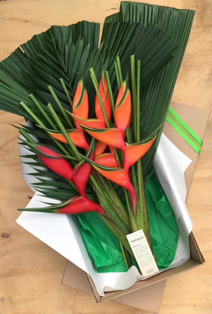 Box,Flowers,Palm.jpg