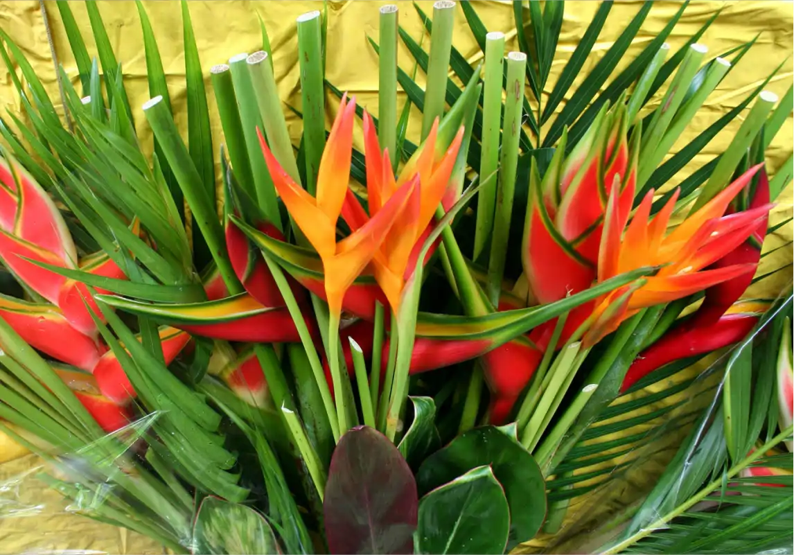 palmitropicales-banner-seccion-bouquets