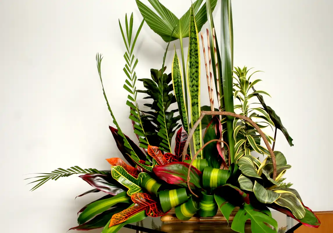 palmitropicales-banner-seccion-follajes